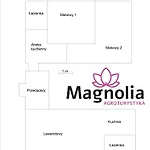 Magnolia *