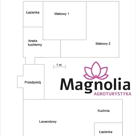 Magnolia *