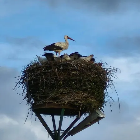 아파트 Magnolia *