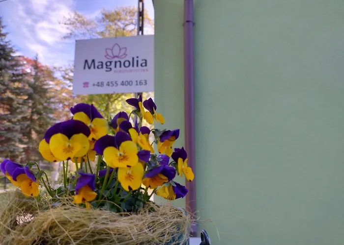 Magnolia Apartament *