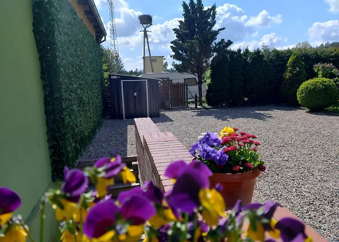 Apartament Magnolia *